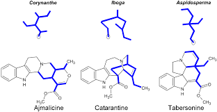 Image result for Corynanthe