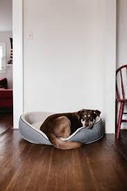 best flooring, hardwood floors