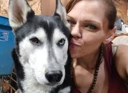 Lost cat in Howard County, Maryland found safe