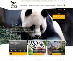 26 Fresh Examples Of Responsive Website Design Photography Website Design Edinburgh Zoo Website Design
