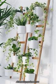 If you prefer flowers to foliage. 60 Impressive And Simple Indoor Hanging Plants Ideas For Your Home Decor Women Fashion Lifestyle Blog Shinecoco Com Plant Decor Indoor Balcony Plants Ideas Hanging Plants