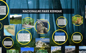 The area of the park is 63.5 km2 and covers the central part of the mountain massifs of risnjak and snježnik, as well as the source of the river kupa with its upper course. Nacionalni Park Risnjak By Ljubica Kovac