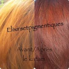 Elixirs Et Pigmentiques Le Katam Ou L Anti Roux Masque Cheveux Coloration Vegetale Rousse