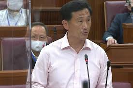A member of the governing people's action party (pap), he was the minister for education (higher education and skills). All Children With Covid 19 So Far Had Mild Symptoms Untrue B1617 Variant Attacks Children Especially Says Singapore Health Minister Singapore Malay Mail