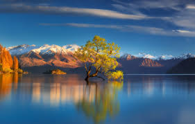 Wallpaper Autumn Mountains Lake Tree New Zealand New Zealand Lake Wanaka Southern Alps Southern Alps Lake Wanaka Images For Desktop Section Pejzazhi Download Enjoy and share your favorite beautiful hd wallpapers and background images. wallpaper autumn mountains lake tree
