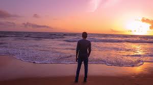 The tree was standing back up and connor was trapped from the chest down. Royalty Free Photo Man Standing On Seashore During Golden Hour Pickpik