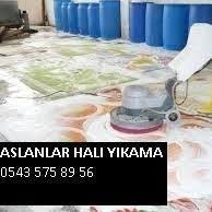 silopi hali yikama firmalari arasinda buyuk bir ilgi goren firma aslanlar silopi hali yikama bolge de cok guzel faliyet yurutmektedir asl halilar hali aslanlar