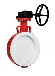 Centric Butterfly Valves | A Simple and Reliable Solution ...