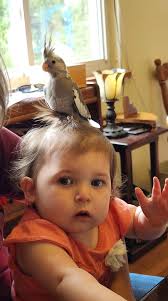 3.19pm Th 11th. Is he still holding onto this mornings kill?