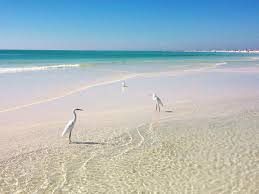 The Magic of Siesta Key Sand
