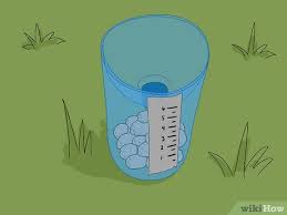 Build a Rain Gauge from Recycled Materials (Sample)
