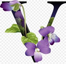 Pikbest have found 23149 design images templates for personal commercial usable. English Alphabet Letter V Png 1509x1478px Alphabet Art Cut Flowers English Alphabet Flower Download Free