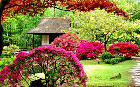 No sales tax!) pic hide this posting restore restore this posting. 61 Wallpaper Garden On Wallpapersafari