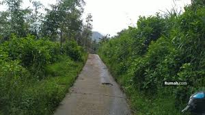 Agrobisnis atau usaha yang berhubungan dengan pertanian agricultural. Tanah Pertanian Di Maribaya Lembang Lembang Cibodas Bandung Jawa Barat Studio Tanah Dijual Oleh Soetrisno Priadi Rp 10 M 16394785