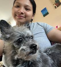 Lost Dog Found with Air Tag