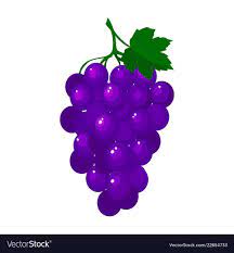 Cartoon Fresh Grapes Isolated On White Background Vector Image Fruit Cartoon Grapes Red Dragon Fruit