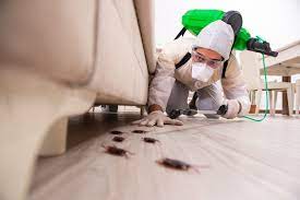 Good laundry detergent gets clothes clean without leaving residue. 10 Best Pest Control Products