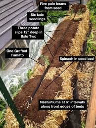 Pin By Angela Geis On Gardens Plants More Straw Bale Gardening Strawbale Gardening Straw Mulch
