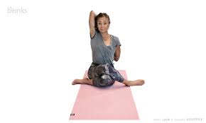 Cow Face Pose Gomukhasana All You Should Know About The Pose