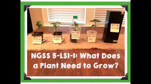 Place two identical plants in the same place under the sun. Ngss 5 Ls1 1 What Do Plants Need To Grow Experiment Setup Youtube