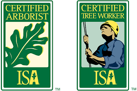 The municipal specialists work for cities and states, parks, contractors or consultants. Why Hire An Isa Certified Arborist For Tree Care Tree Doctors Inc