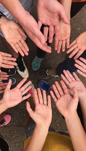 2016-2017 Impact Report