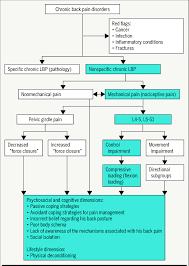 Disk injuries are a fairly common. Flow Chart Describing The Different Levels Of The Multidimensional Download Scientific Diagram