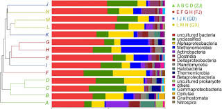 Class Level Diversity Chart For Microbial Communities