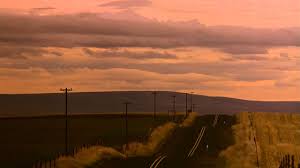 At the end of the film, mike is once again alone, lying unconscious on the. Cattle Call My Own Private Idaho 1991 Youtube