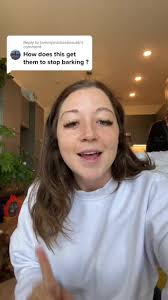 Effective Ways to Stop Your Dog from Barking