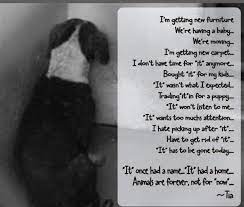 Pets Are Not Gifts Or Disposable Or Returnable Items Pets Are New Lifelong Members Of Your Household Animals Dogs Dog Quotes