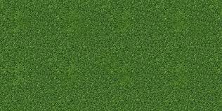 Over The Hedge Sample Green Grass Background Grass Background Grass Wallpaper