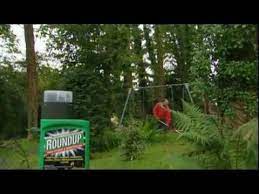 Combine 2 cups of roundup super concentrate tree stump and root killer with 8 cups of water, if treating a coniferous tree stump. Tree And Stump Killer Video Roundup Weedkiller Youtube