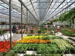 Career Information On Jobs In Horticulture Horticulture Landscape Nursery Landscaping Business Cards