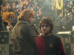 As with the harry potter books, opinions on which entries in the series are the best are incredibly varied and subjective. Harry Potter And Fantastic Beasts Movies Ranked From Worst To Best
