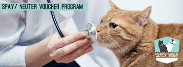 Search by city, state, or veterinarian name. Spay Neuter Voucher Program Mass Gov