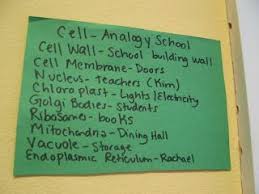 Comparative to the animal cell at the top of the page, this diagram shows how each component is separate from each other but is still contained in the same structure. Learning In Place Plant Cells Models And Metaphors Plant Cell Model Cell Analogy Plant Cell