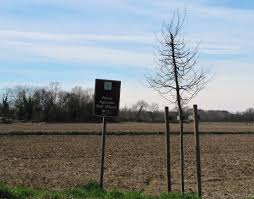 Offriamo servizi di sgomberi, noleggi, restauro. Milano Archivi Il Motografo