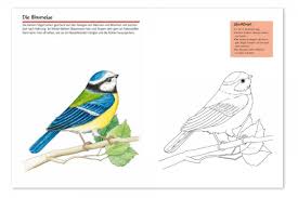 Vogelwarte Ch Vogel Malspass