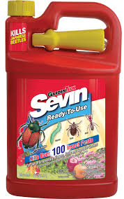Check spelling or type a new query. Sevin Ready To Use Insect Pest Killer 1 Gallon Brickseek