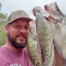 Tree cutting service recommendations needed