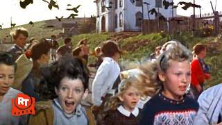 The Birds (1963) - Crows Chase Children Scene | Movieclips