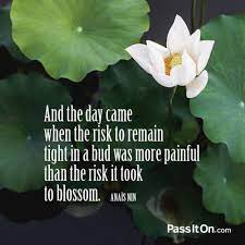 And The Day Came When The Risk To Remain Tight In A Bud Was More Painful Than The Risk It Took To Blossom Anais Nin Passiton Com