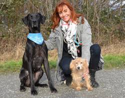 Auf unserer homepage werden privat zu vermittelnde tiere von ihren besitzern. Tierheimhelden Tierheim Tiere Adoptieren Bundesweit