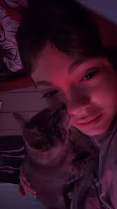 Lost kitten in Brazil Indiana?