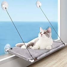 Product in development by tensa outdoor. Best Cat Window Perches Buying Guide Gistgear