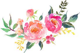 Watercolor flower transparent pattern realistic easter easter eggs yellow flower back light wallpaper valentine day transparent rose background easter eggs transparent hearts. Clear Background Watercolor Flower Transparent Novocom Top