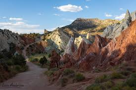 Image result for watermark