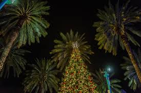 We can help with establishing a lighting budget for your project, no matter how big or small. Christmas Tree Lighting Ceremony Lincoln Road Miami Beach Fl
