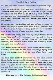 When an animal dies that has been especially close to someone here, that pet goes to rainbow bridge. Rainbow Bridge Personalised Heart Paw Print Plaque By Truly For You Free Poem 9 95 Picclick Uk